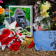 Photo credit: John Sommers II/Getty Images